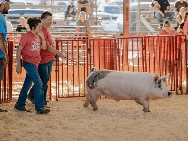 Bacon Buddies Event Image Decorative