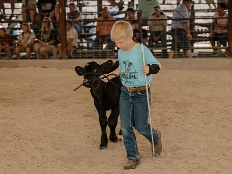 Kiddie Beef Show Event Header Image Decorative