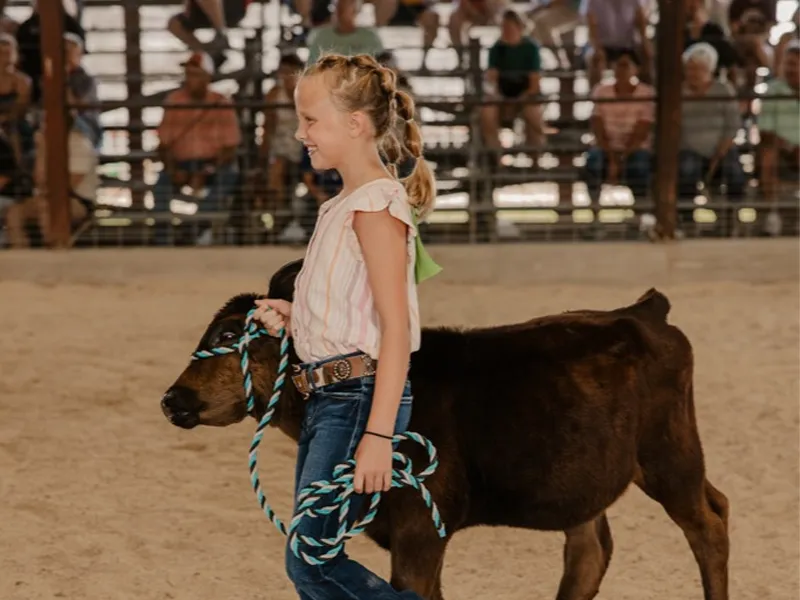 Kiddie Dairy Show Event Image Decorative Only